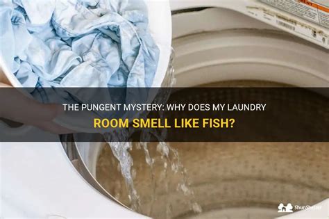 laundry room smells like fish